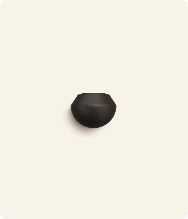 Standard Ball